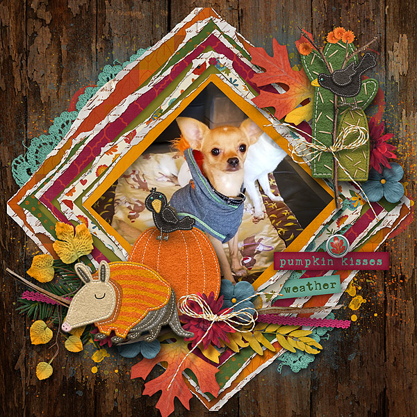 Pumpkin Kisses