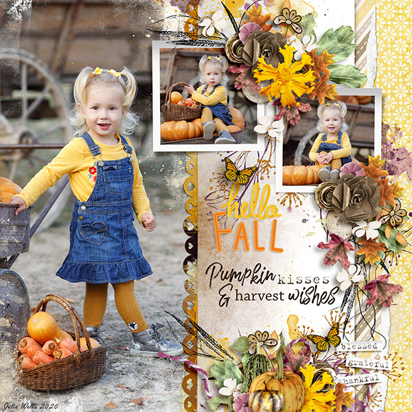 pumpkin kisses