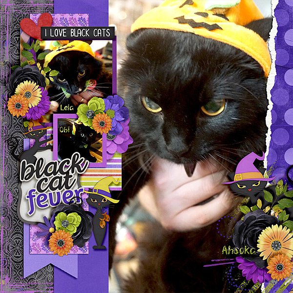 pumpkin-kitties-21