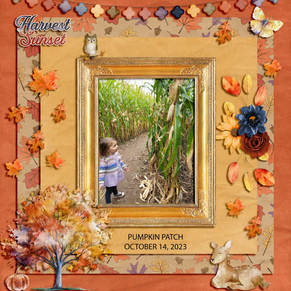 PUMPKIN -MINI DSD - 10-24