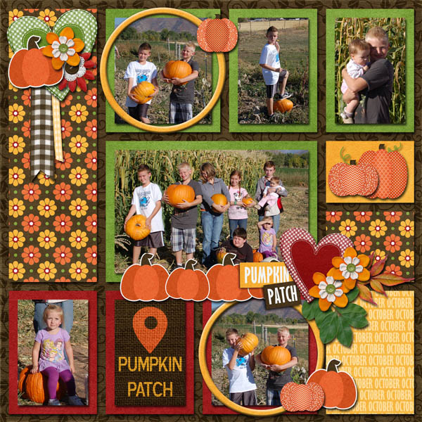 pumpkin patch 2