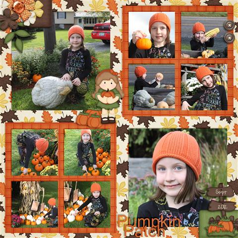 Pumpkin Patch 2