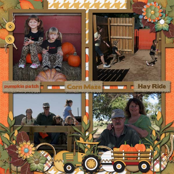 pumpkin patch 2009