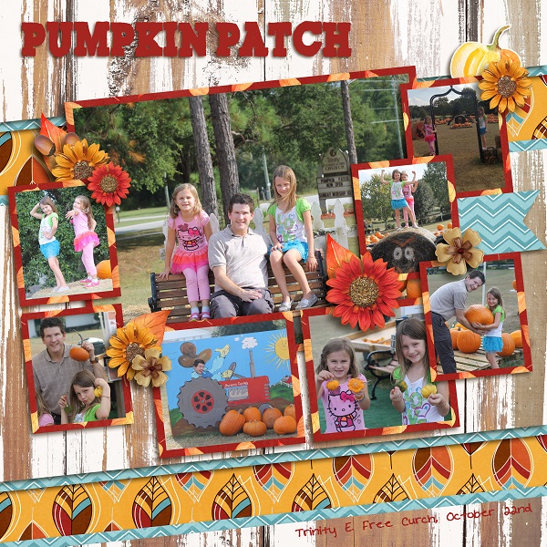 Pumpkin Patch 2013