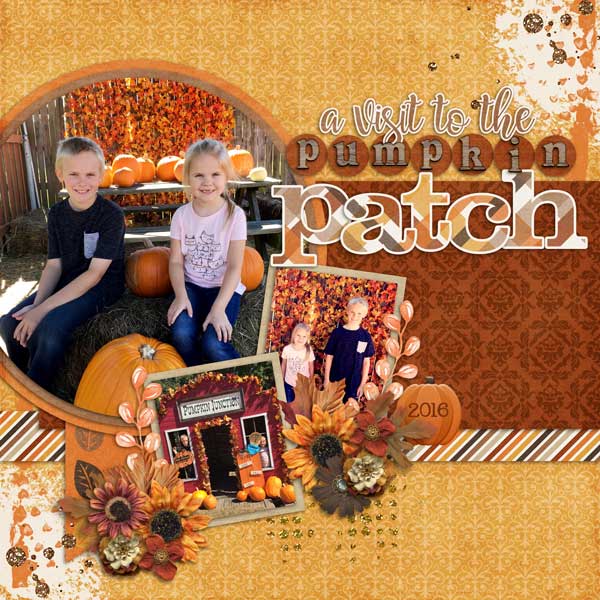 Pumpkin Patch 2016