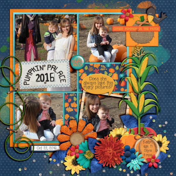 Pumpkin Patch 2016