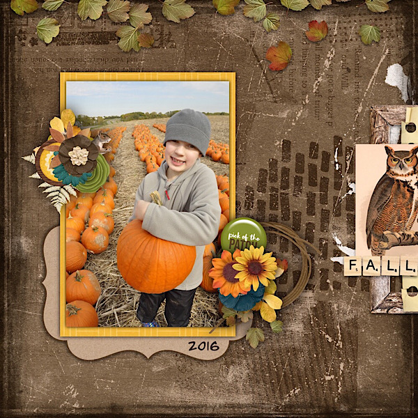 Pumpkin Patch 2016