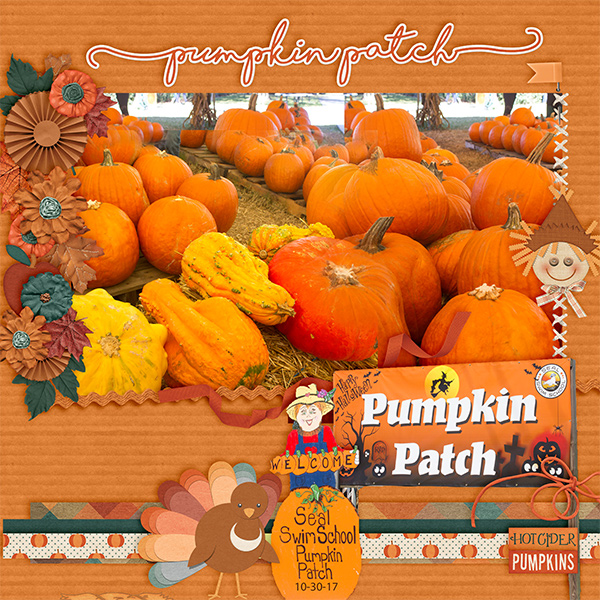 Pumpkin Patch 2017
