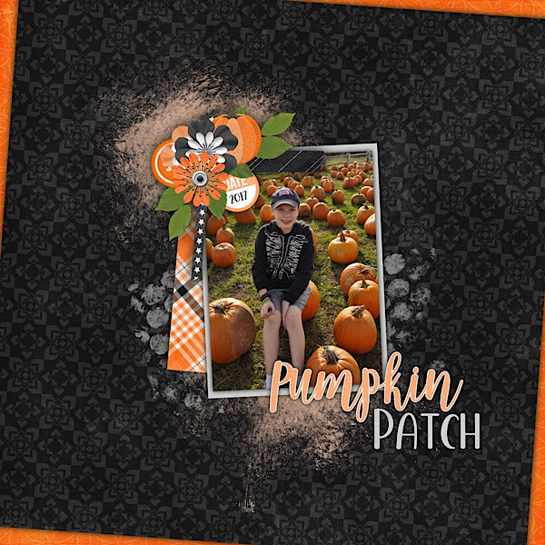 Pumpkin Patch 2017