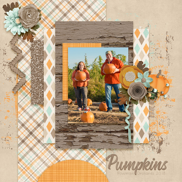Pumpkin Patch 2018