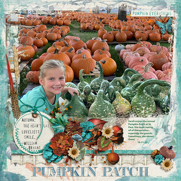 Pumpkin Patch 2022