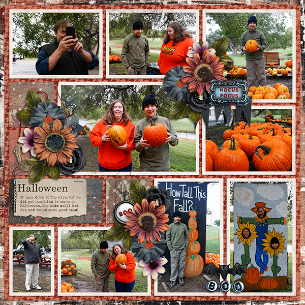 Pumpkin Patch 2023