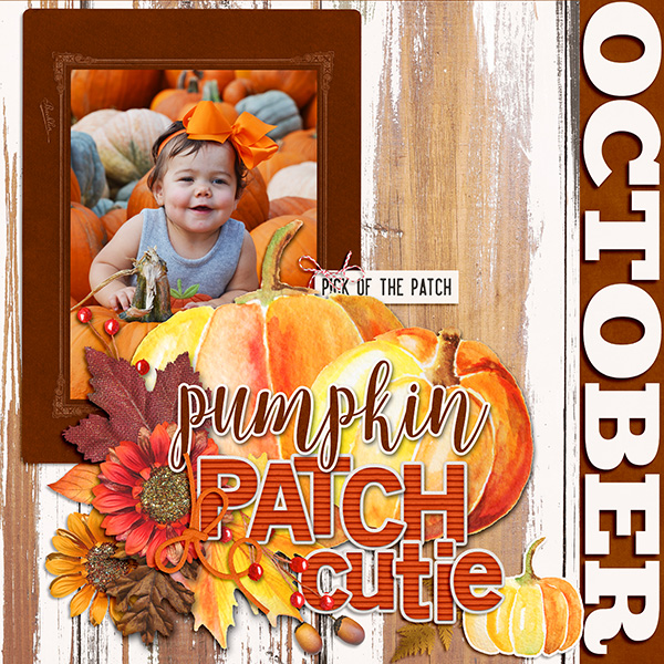 Pumpkin Patch Cutie