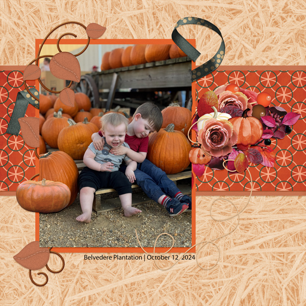 Pumpkin Patch Cuties