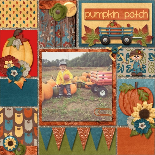 Pumpkin Patch Fun