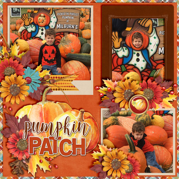 Pumpkin-Patch-Fun