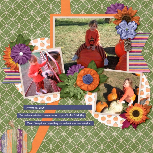 Pumpkin Patch Fun