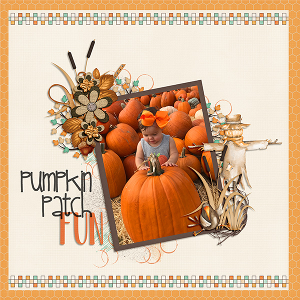 Pumpkin Patch Fun