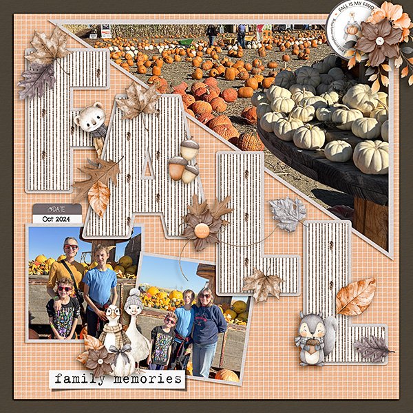 pumpkin-patch.jpg