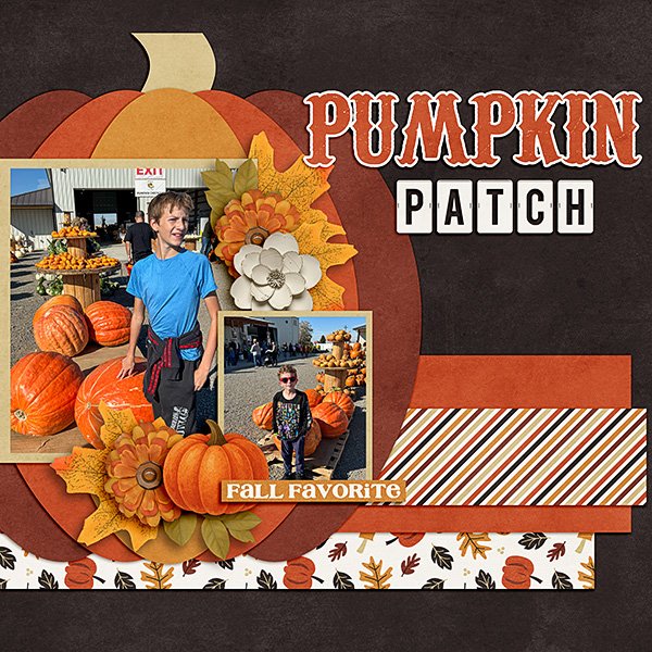 Pumpkin-Patch.jpg