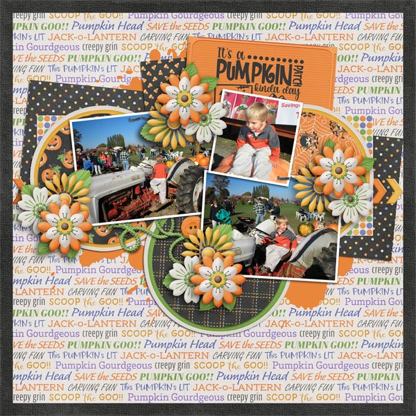 Pumpkin Patch Kinda Day