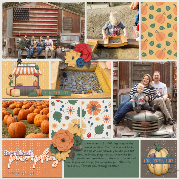 Pumpkin Patch (L)