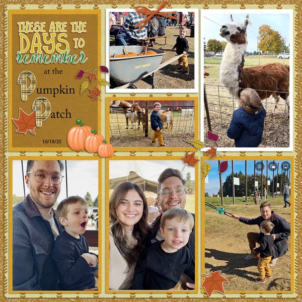 Pumpkin Patch Luca 25