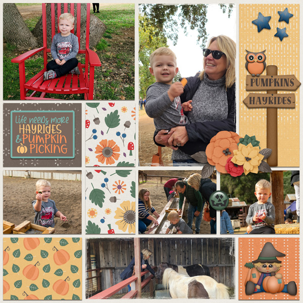 Pumpkin Patch (R)