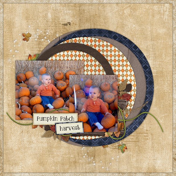 Pumpkin Patch- Tyson