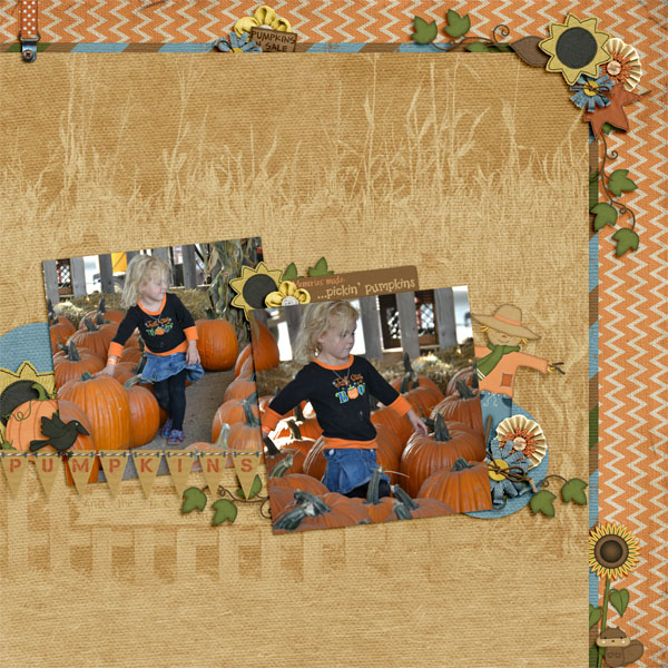 Pumpkin Patch