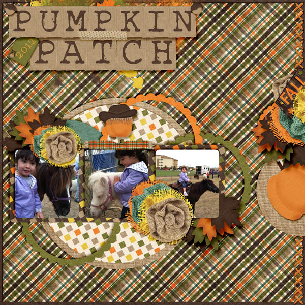 Pumpkin Patch