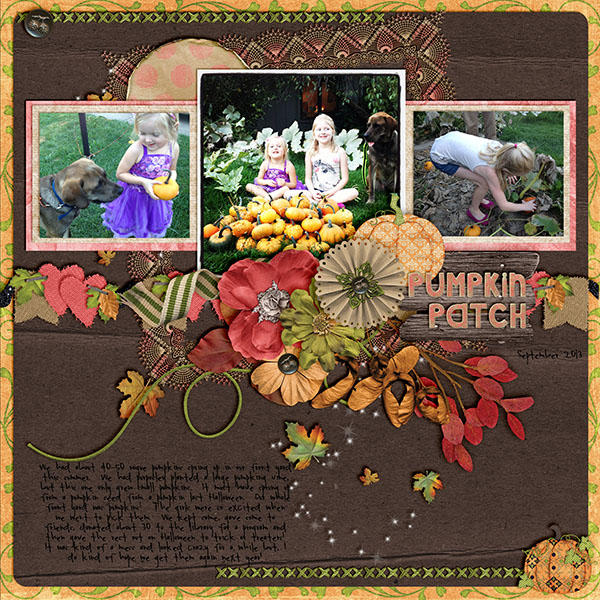 pumpkin patch