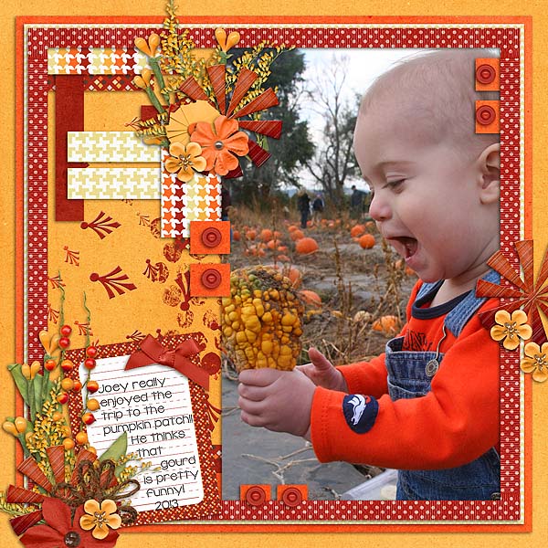 Pumpkin Patch