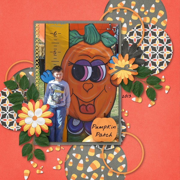 Pumpkin Patch