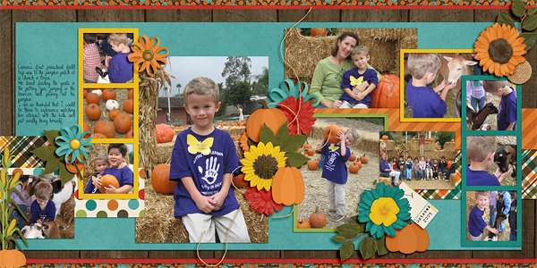 Pumpkin Patch