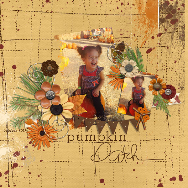 pumpkin patch