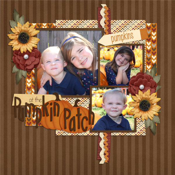 pumpkin patch