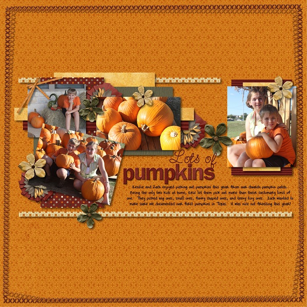 Pumpkin Patch
