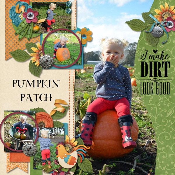 Pumpkin Patch