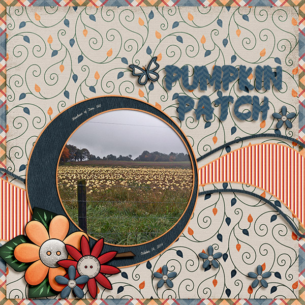 Pumpkin Patch