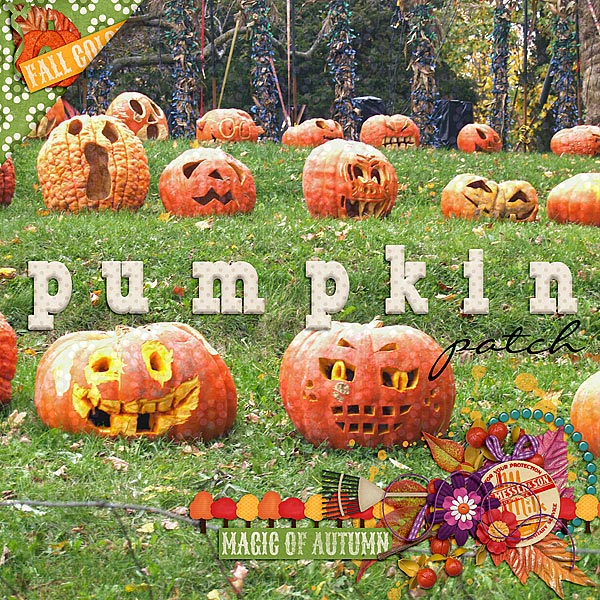 Pumpkin Patch