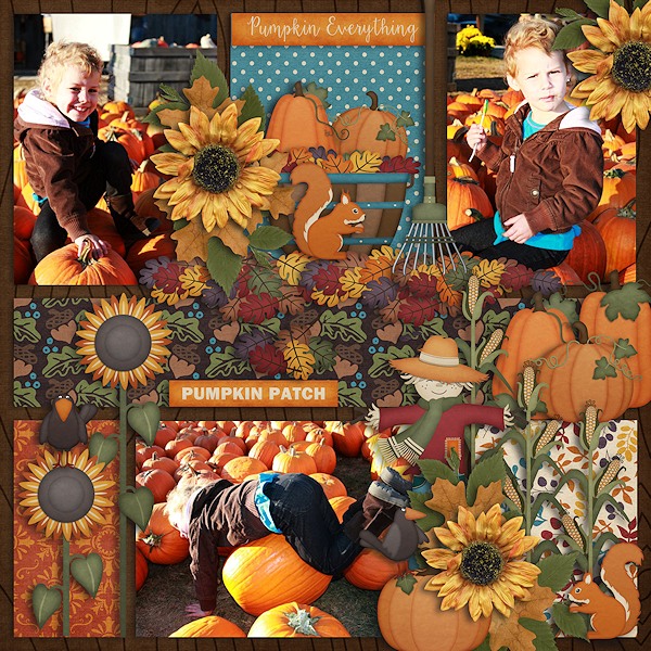 Pumpkin Patch