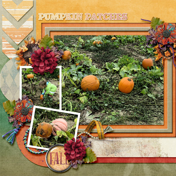 Pumpkin Patch