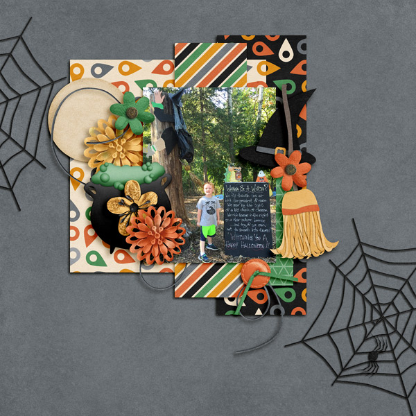 Pumpkin Patch