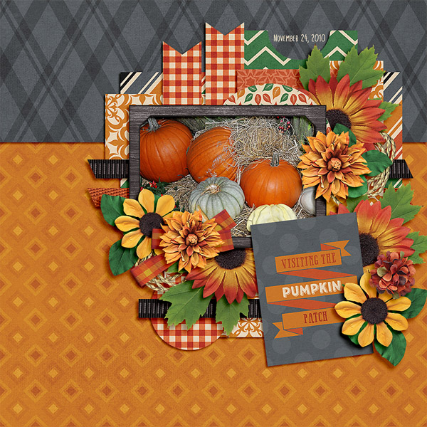 pumpkin patch