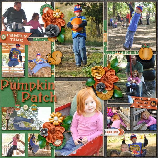 pumpkin patch