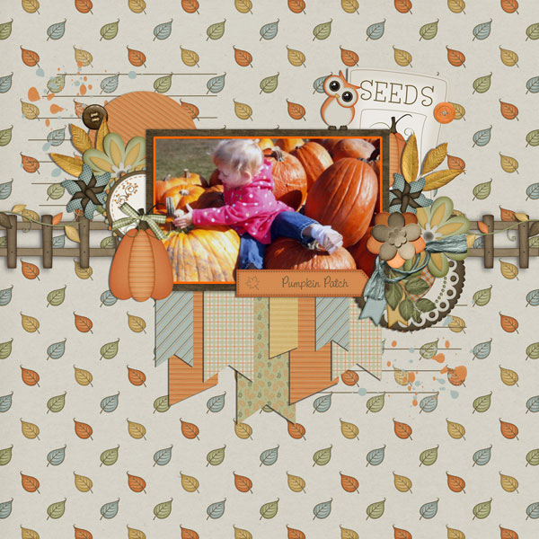 pumpkin patch