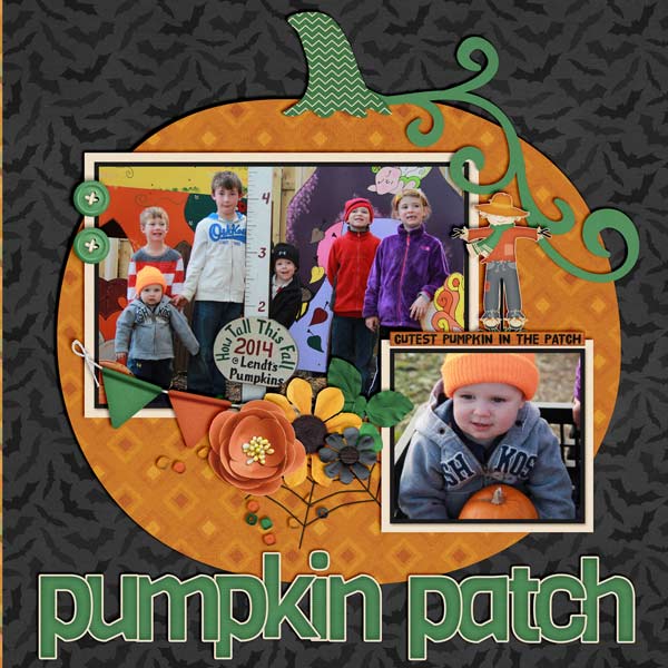 Pumpkin Patch
