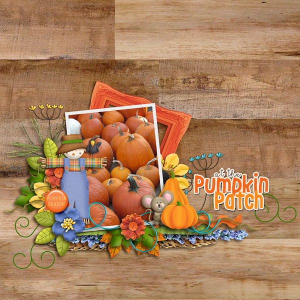 Pumpkin Patch