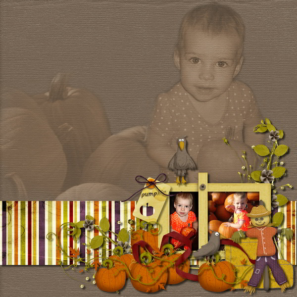 Pumpkin patch